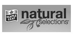 maple-leaf-natural-selections